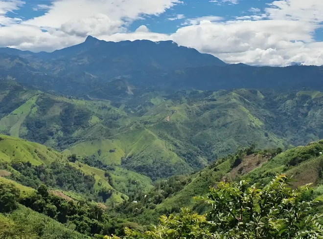 Nespresso kompatible Kapseln - colombia landscape - MyCoffeeCup.ch