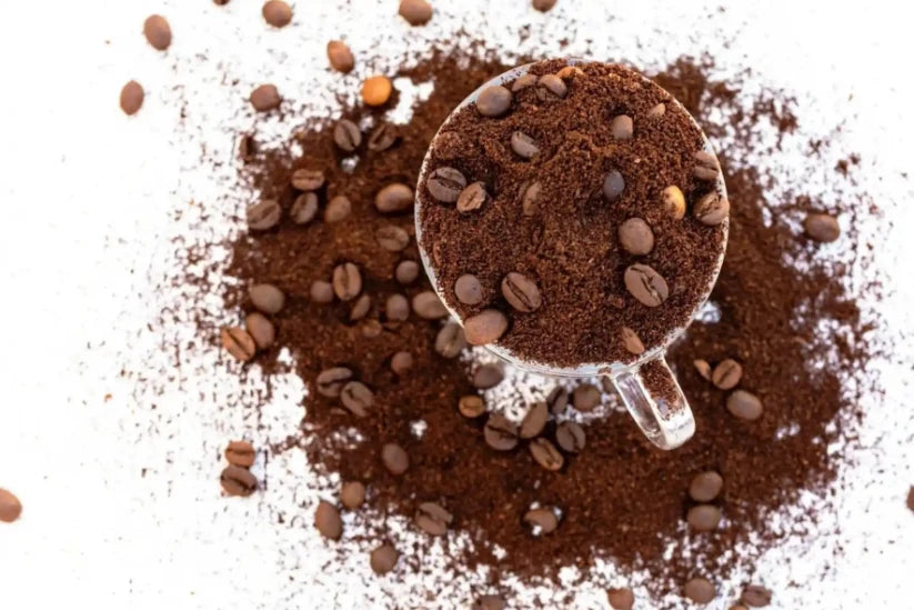 Nespresso kompatible Kapseln - cup full of coffee - MyCoffeeCup.ch