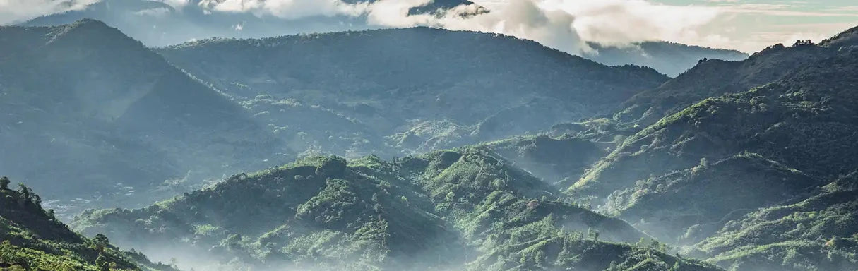 Nespresso kompatible Kapseln - mountain landscape - MyCoffeeCup.ch