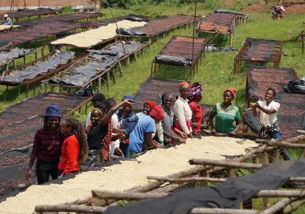 Nespresso kompatible Kapseln -  workers in fields - MyCoffeeCup.ch