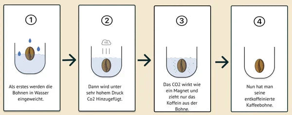 Nespresso kompatible Kapseln - coffee bean process -  MyCoffeeCup.ch