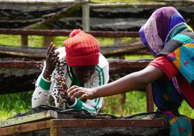 Nespresso kompatible Kapseln -  workers in rwanda - MyCoffeeCup.ch